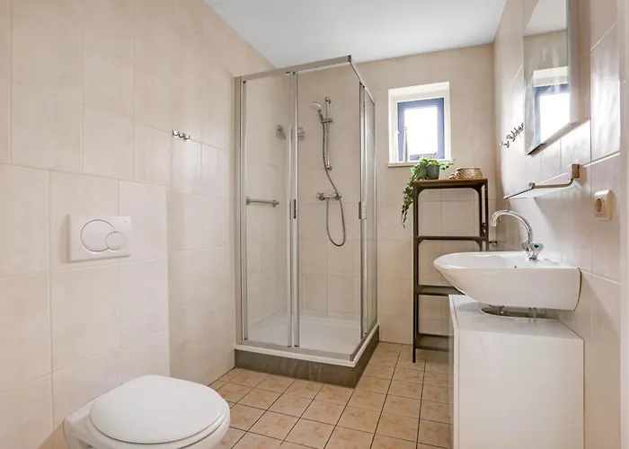 Schoorlse Duinen Schoorl