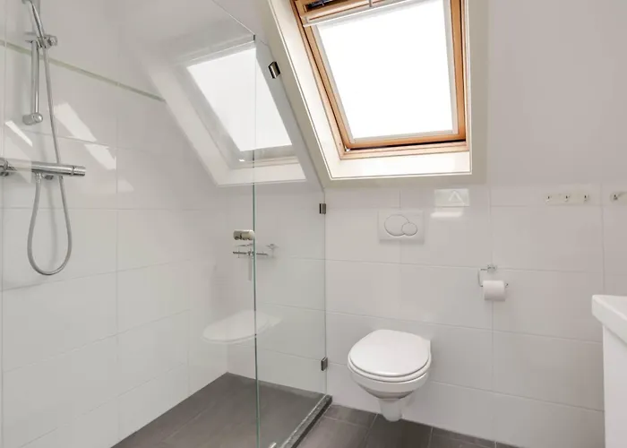 Schoorlse Duinen Schoorl