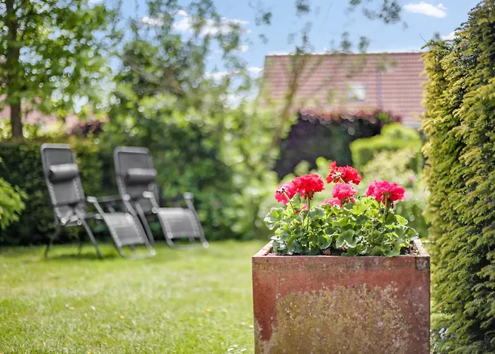 Tatil Evi Schoorlse Duinen