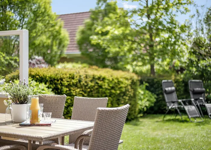 Schoorlse Duinen Schoorl